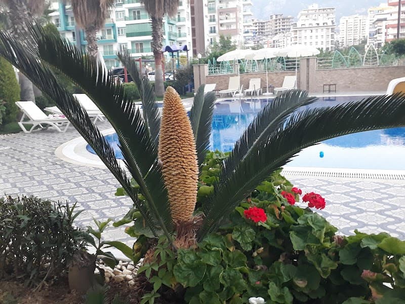 Olympia Park Sauna Alanya photo