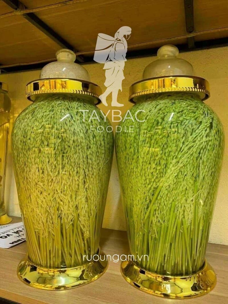 Quận Thanh Xuân Đòng Đòng Nếp Nương Tây Bắc photo