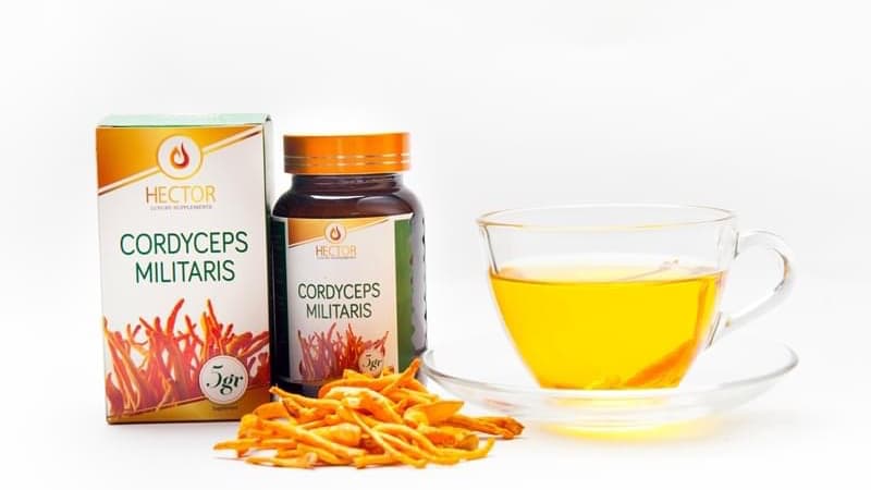 Thủ Đức Đông Trùng Hạ Thảo Hector - Kim Yến photo