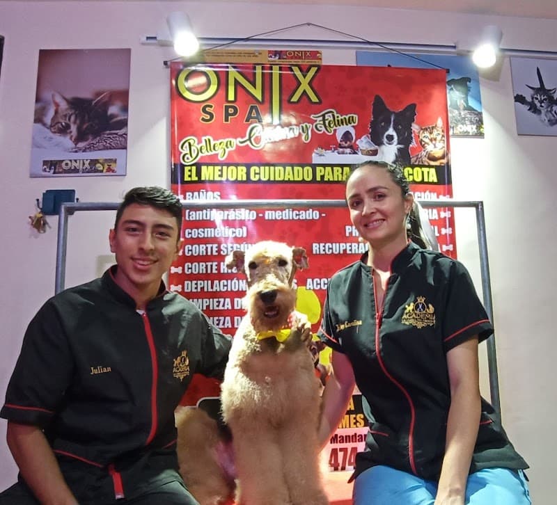 Onix Spa Belleza Canina Ibagué photo