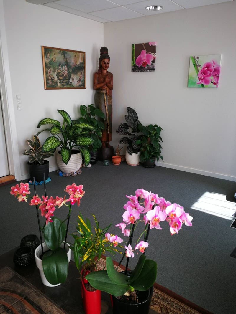 Opal Wellnes og Thai Massage Hedensted photo