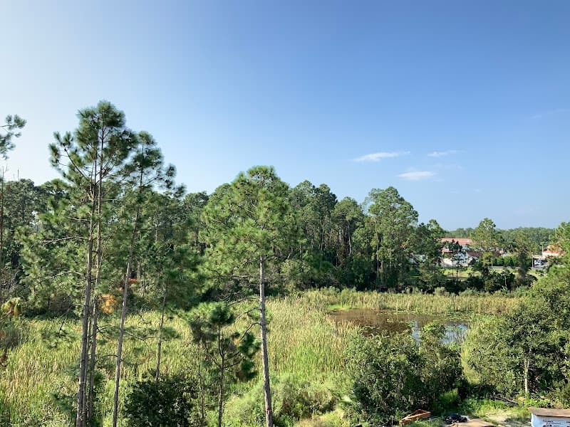 Opulence by Spa Floridian Palm Coast photo