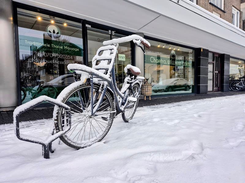 Organat Wellness Studio Voorburg photo