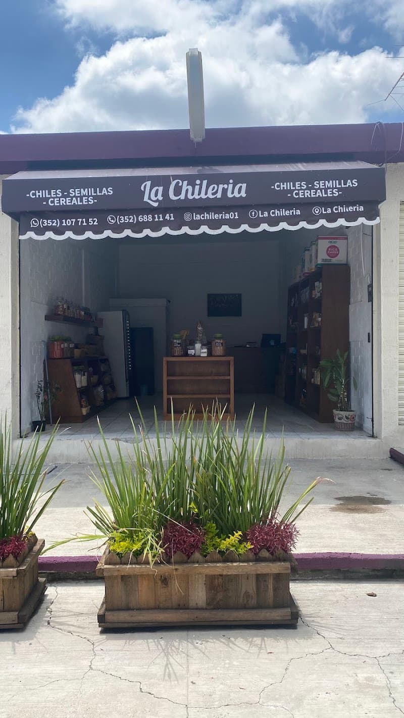 Orgánic and Natural La Piedad de Cabadas photo