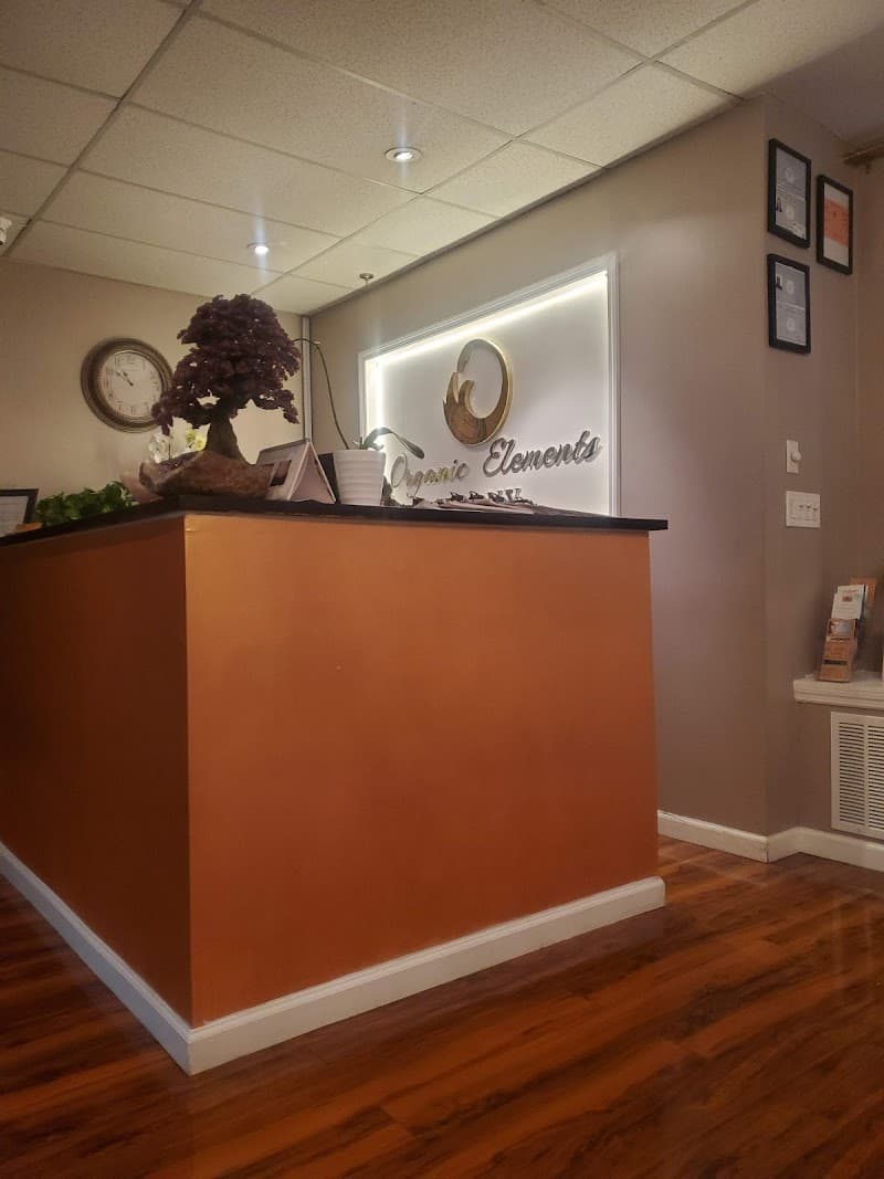 Organic Elements Spa NY New York photo