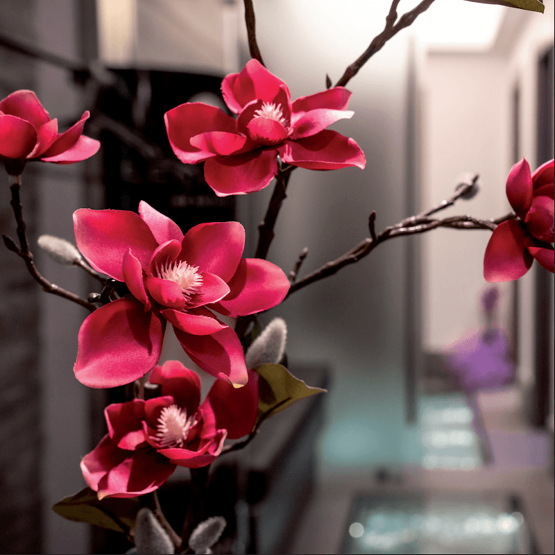 Orobody Skincare Roma photo