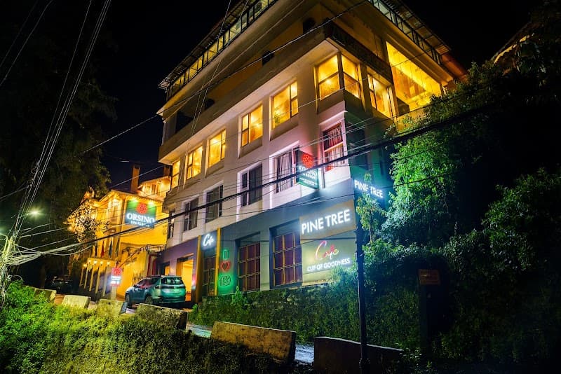 Orsino Spa Resort Darjeeling photo