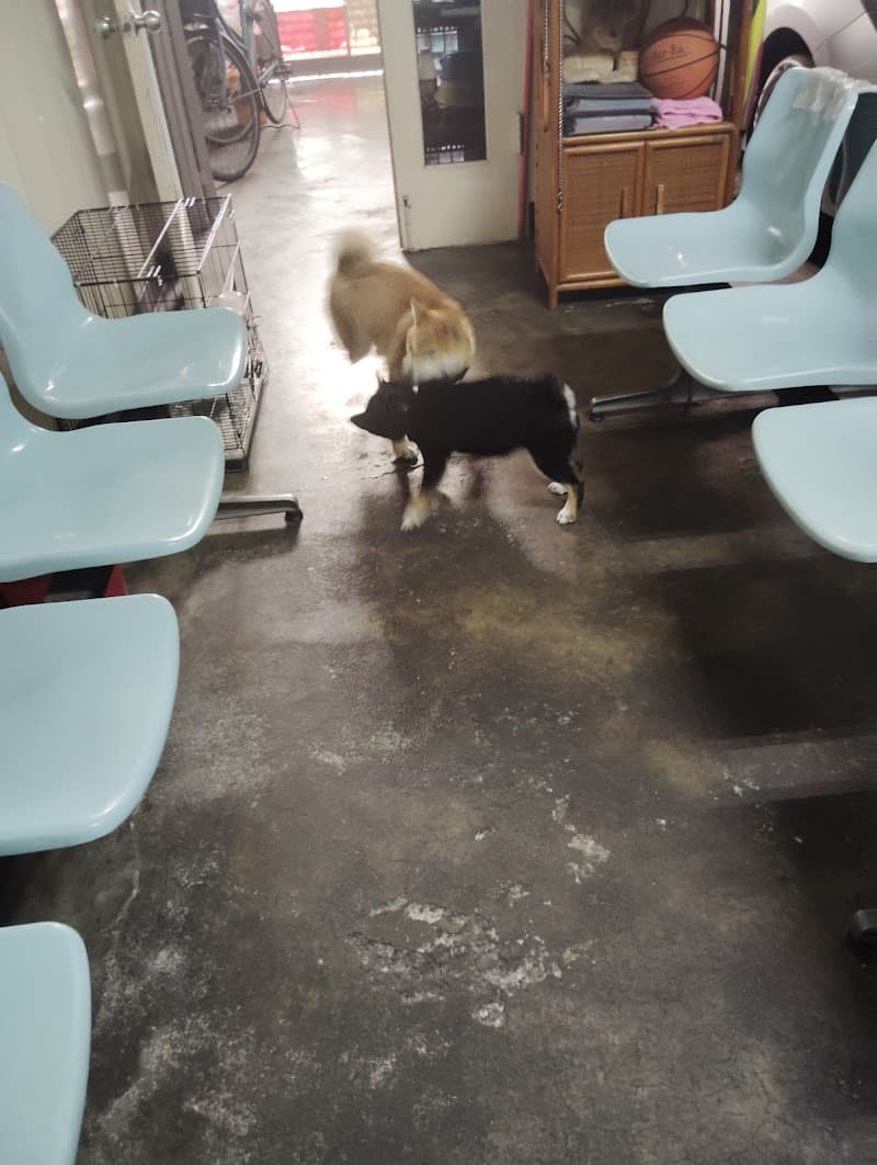 Orthopedic Tuina Taoyuan City photo