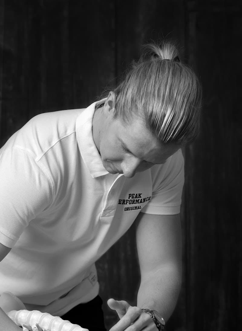 Osteopatho ad Sanantis Göteborg photo