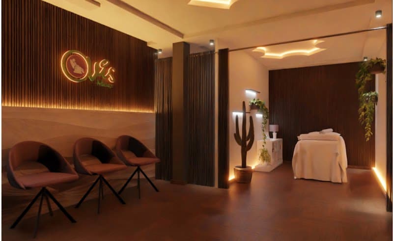 Ovis Massage Exclusive Warri photo