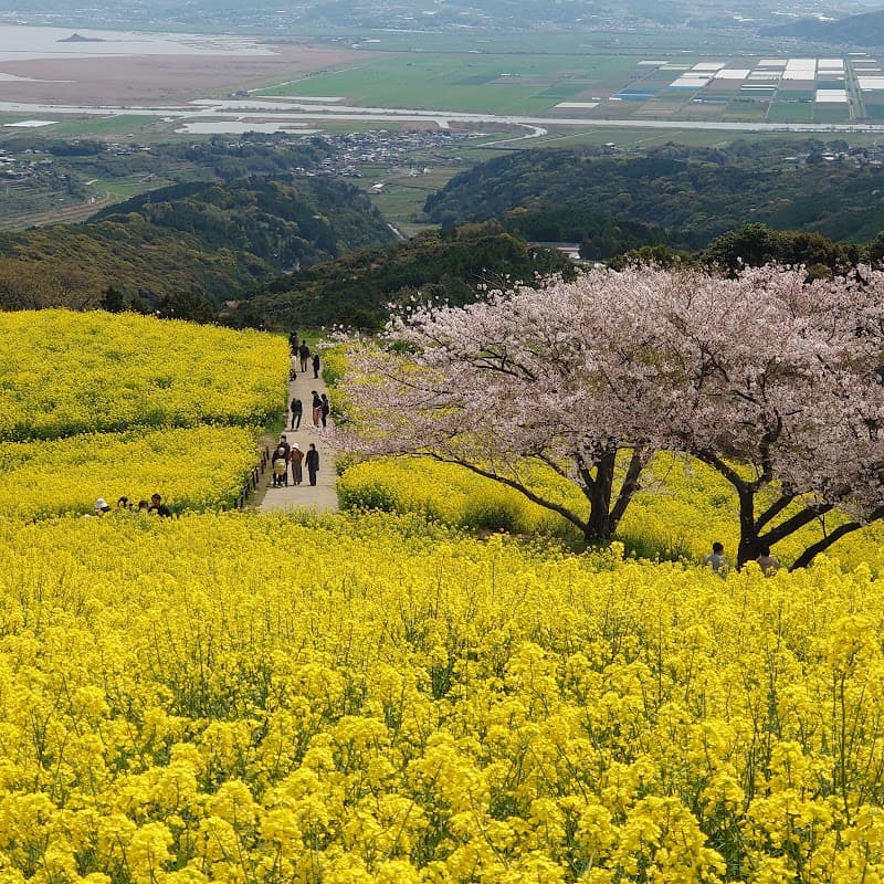 Oyu Kamisashi Best Power Land Isahaya photo
