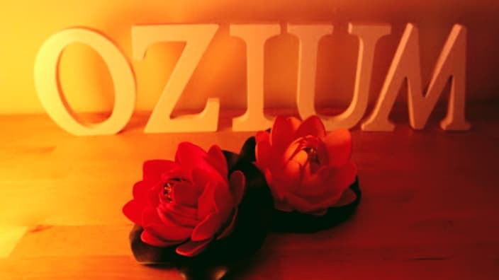 Ozium Nichelino photo