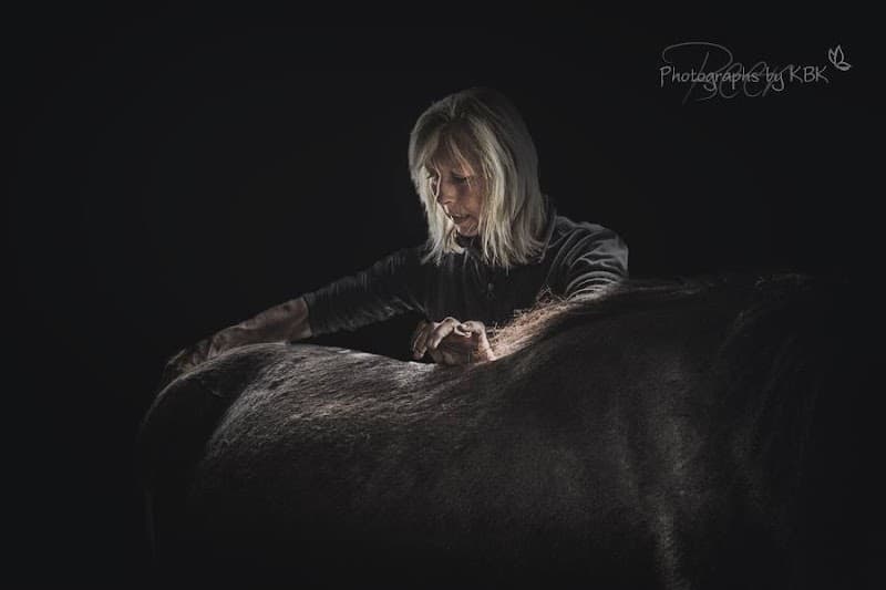 Paardentherapie Inge Hoevers Dwingeloo photo