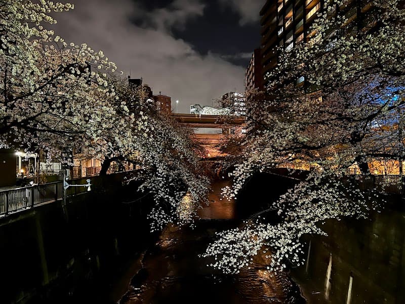 Paburiba Hakkou Itabashi City photo