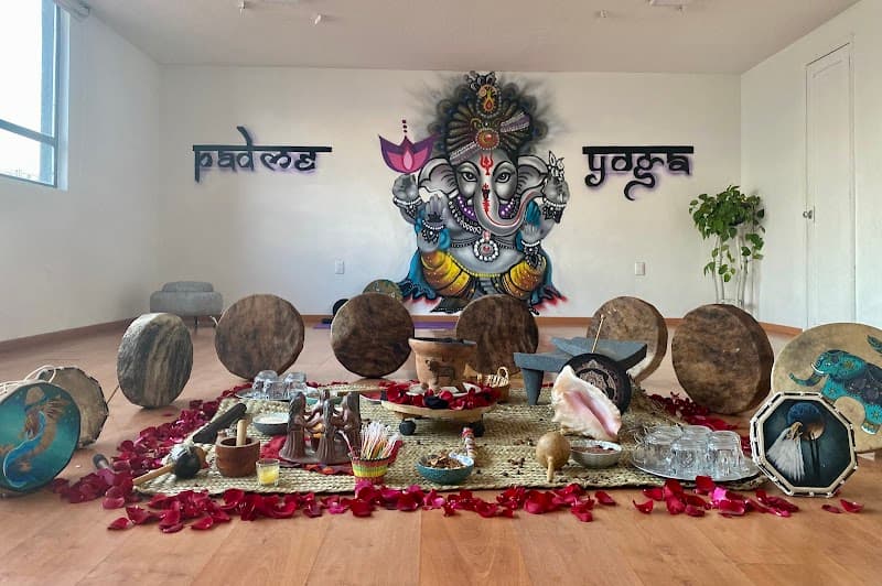 Padme Yoga Live Spa Puebla photo