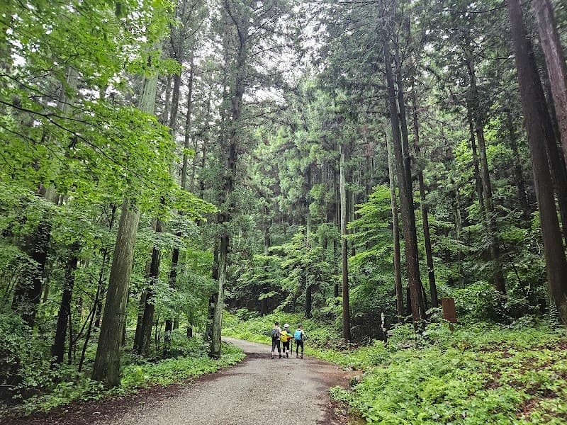 Palyongsan Hinoki Healing Forest Goheung photo