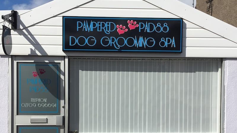 Pampered Padss Dog Grooming Spa Elgin photo