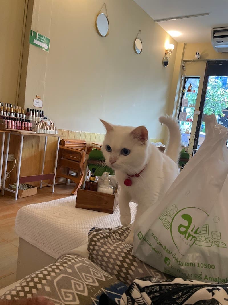 Panya Health Massage PANYA Massage & Spa Samut Sakhon photo