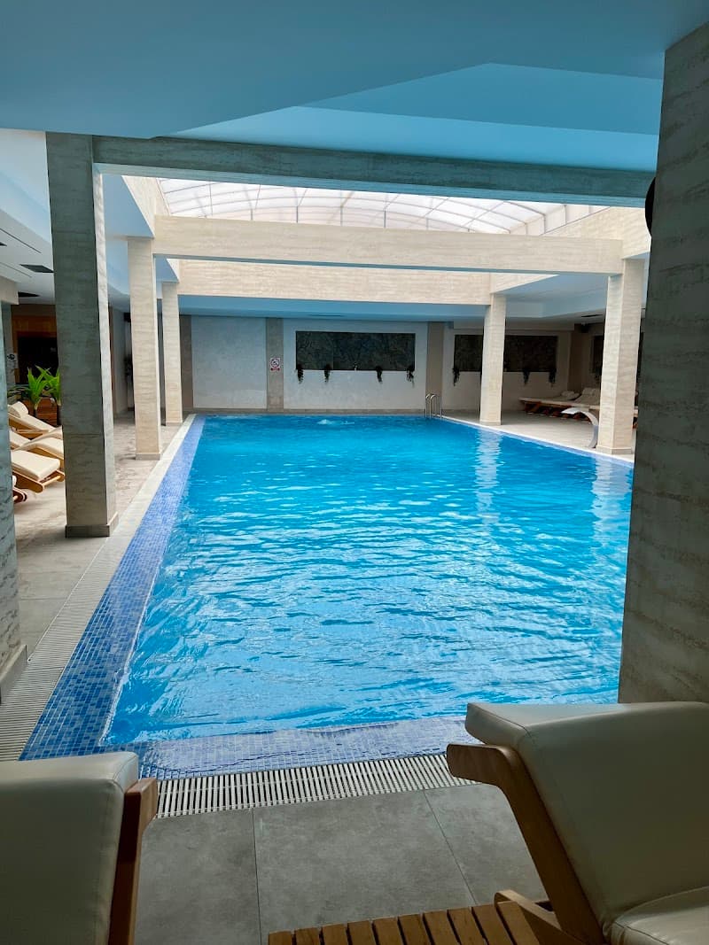 Papillon SPA Centar Beograd Belgrade photo