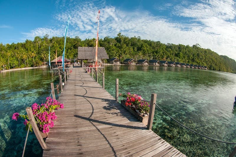 Papua Explorers Dive Resort Raja Ampat photo