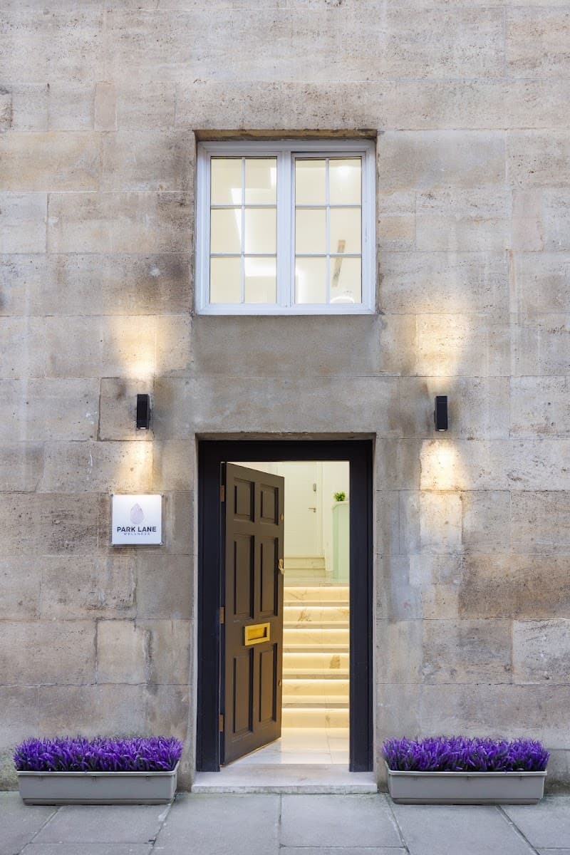 Park Lane Wellness London photo