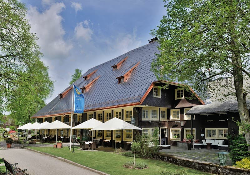 Parkhotel Adler - Hochschwarzwald Hotelbetriebs GmbH Black Forest photo