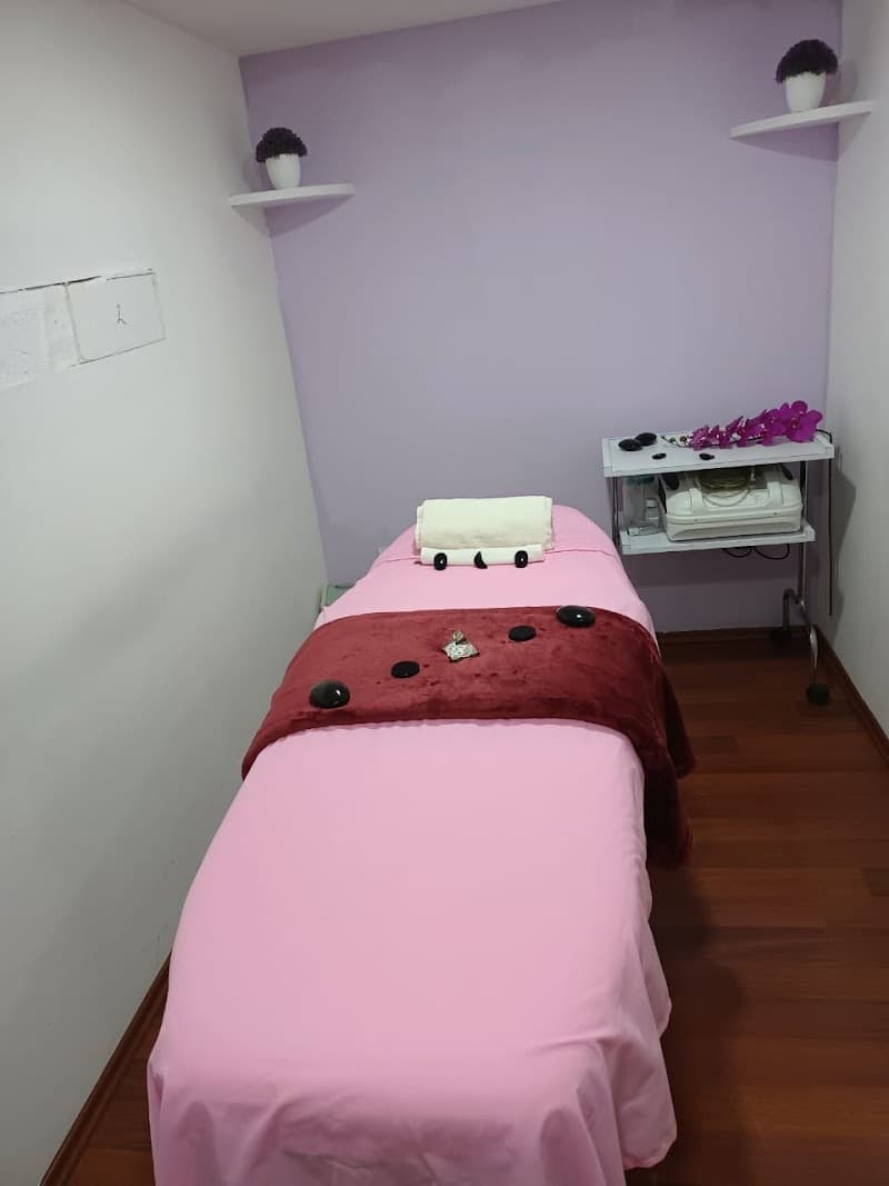 Patio Pedregal Spa Mexico City photo