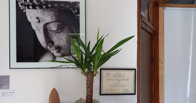 Pautou Agnes Massage et Bien-Etre Montolieu photo