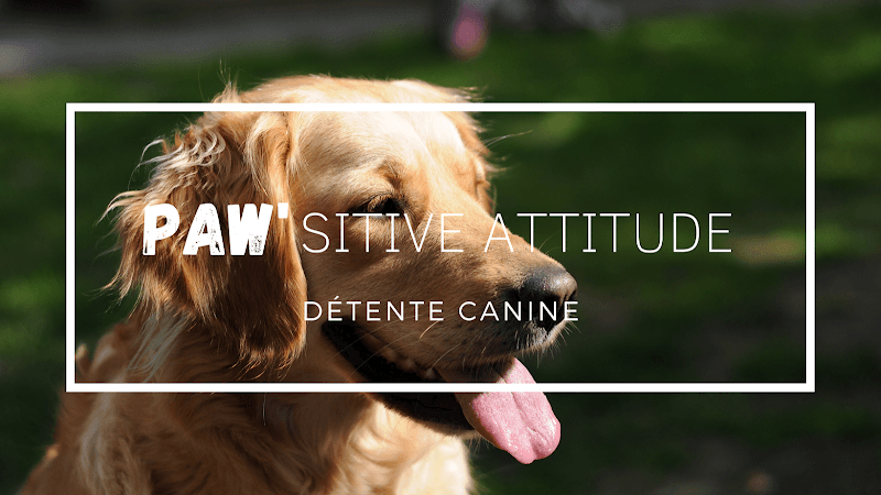 Paw'sitive Attitude Horbourg-Wihr photo