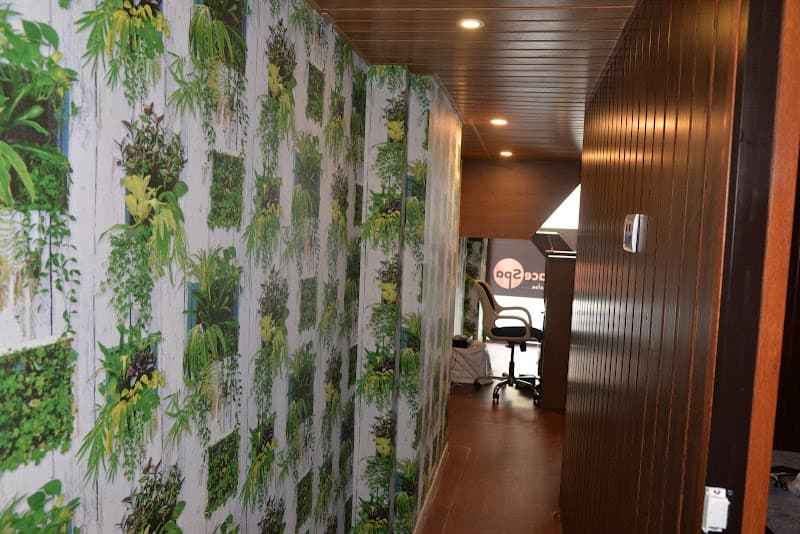 Peace Palace Spa Mumbai photo