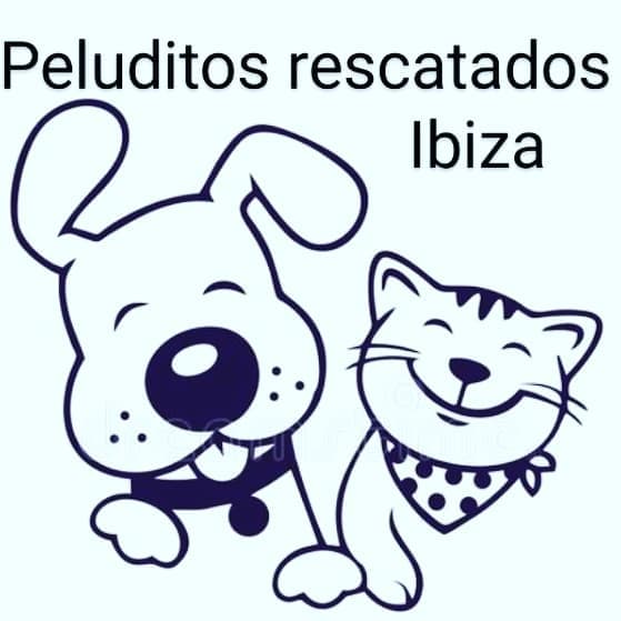 Peluditos rescatados ibiza Tolcayuca photo