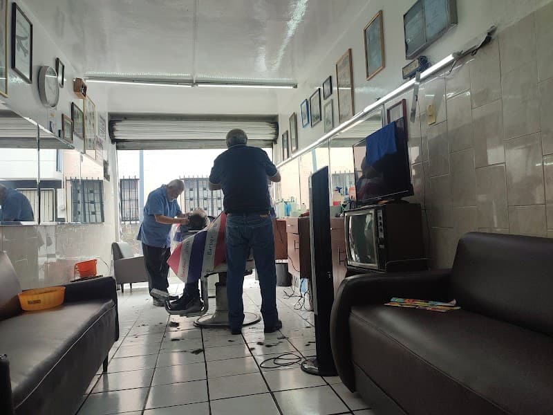 Peluqueria Guadalajara photo