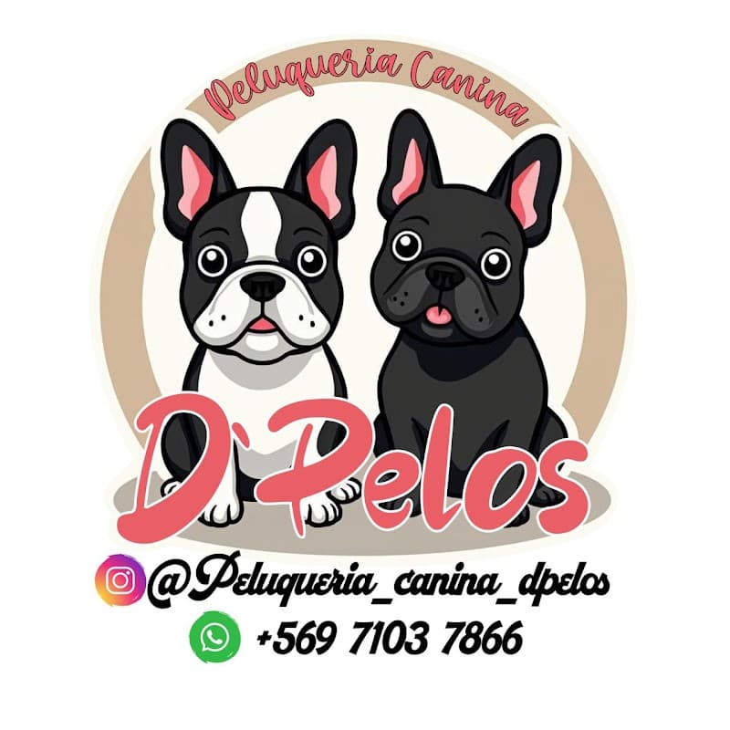 Peluqueria Peludines Peñaflor photo