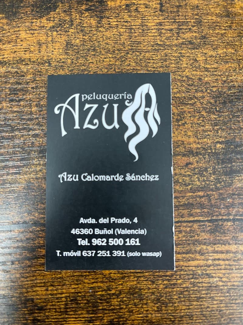 Peluqueria Pelupaz Alborache photo