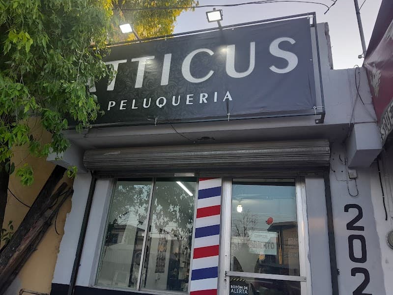Peluqueria Unisex Atticus Guadalupe photo