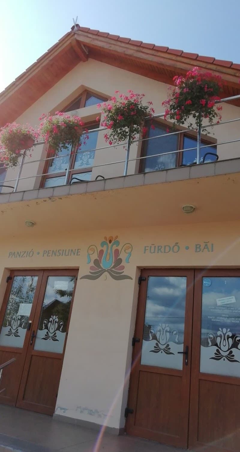 Pensiune Băi Hătuica photo