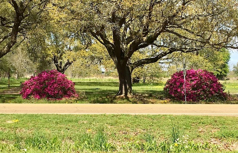 Perfect Time Farm Ville Platte photo