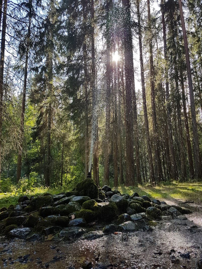 Pernillas Smultronställe Tällberg Rättvik photo