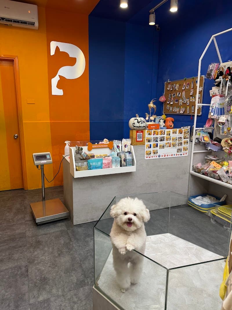 Pet's HomeStay Quận Phú Nhuận photo