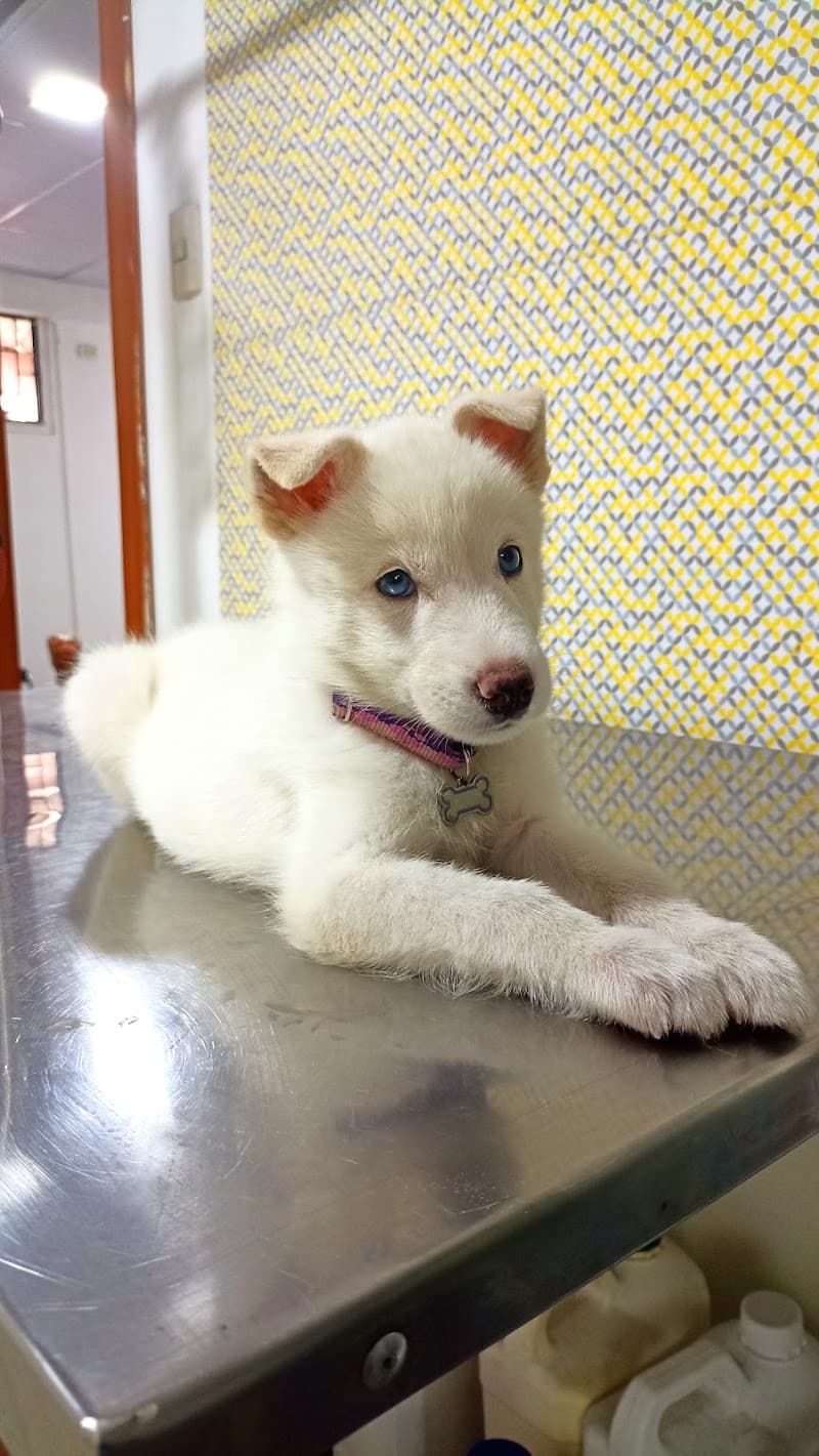 Pet Time Guayaquil photo