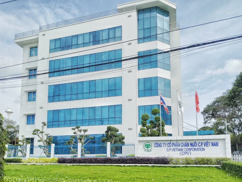 Phân phối heo hơi CP - Cty Cổ Phần Chăn Nuôi CP Việt Nam Thủ Đức photo