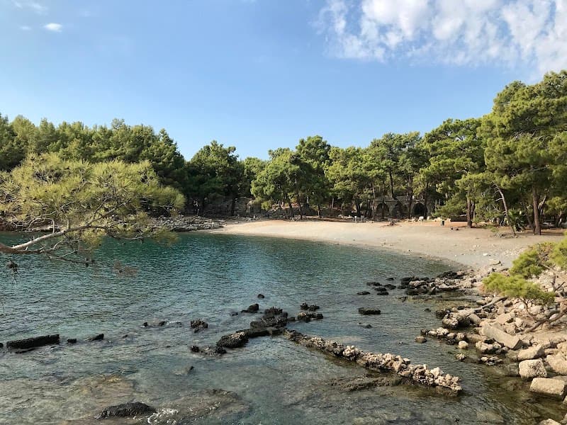 Phaselispa Kemer photo
