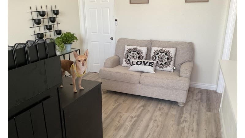 Phoenix Dawn Massage and gifts El Paso photo