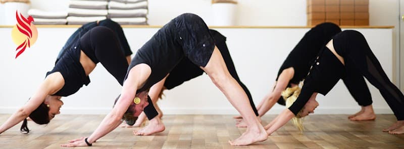Phoenix Wellness Ringwood East photo