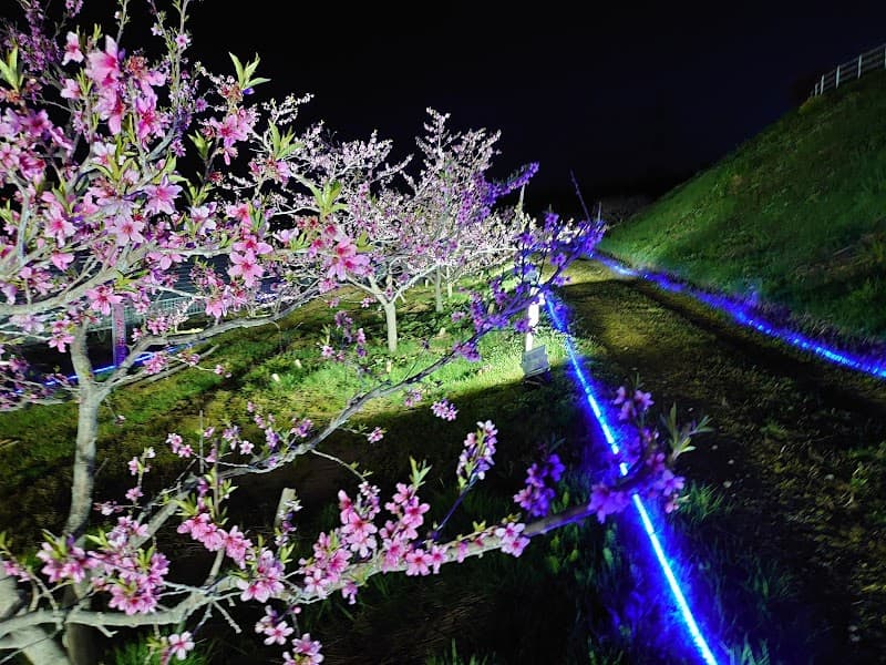 Pia Park, Tourinbo, Peach Village Kariwa Kariwa District Kariwa Village photo