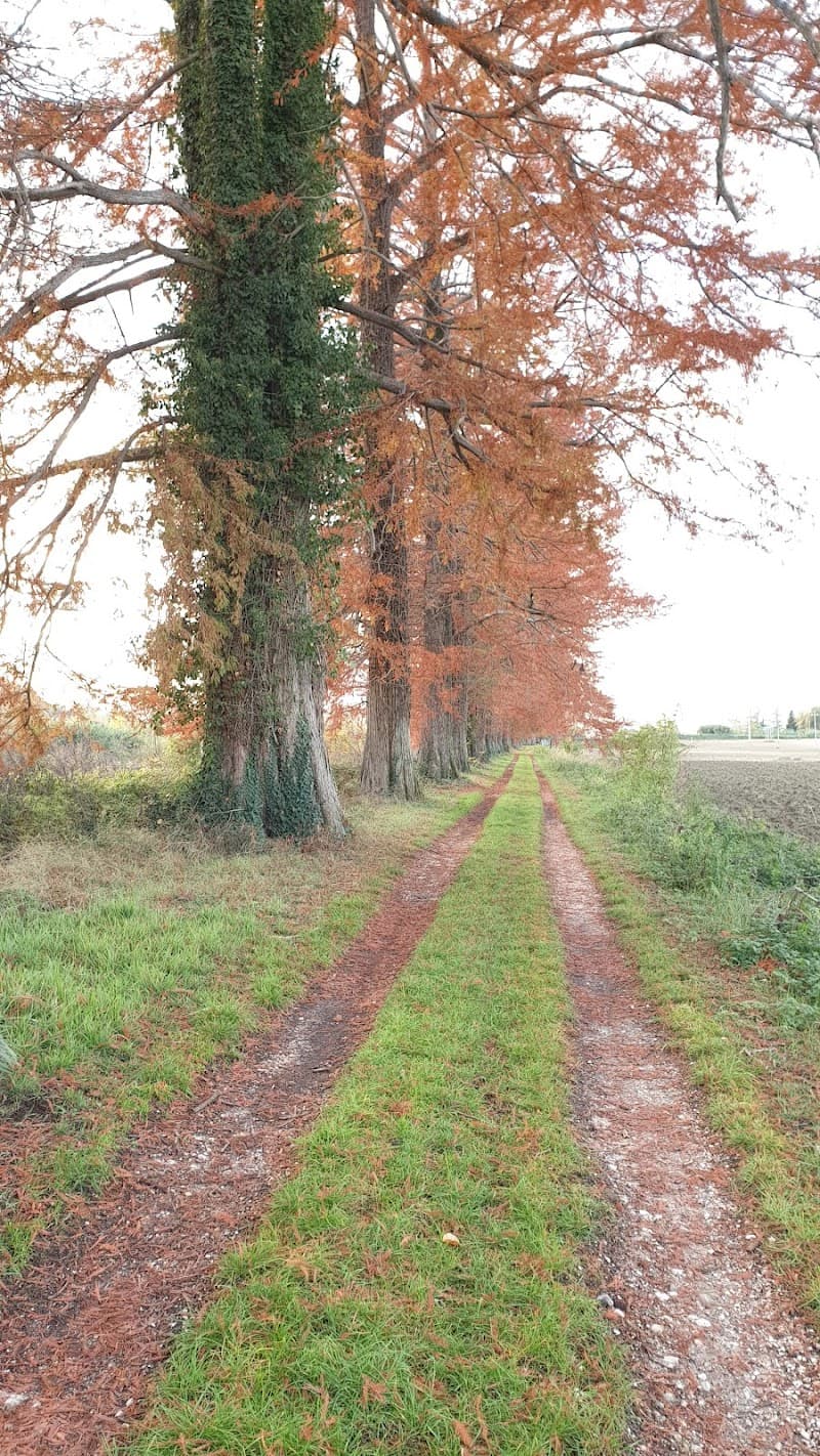 Piane Di Montegiorgio City photo
