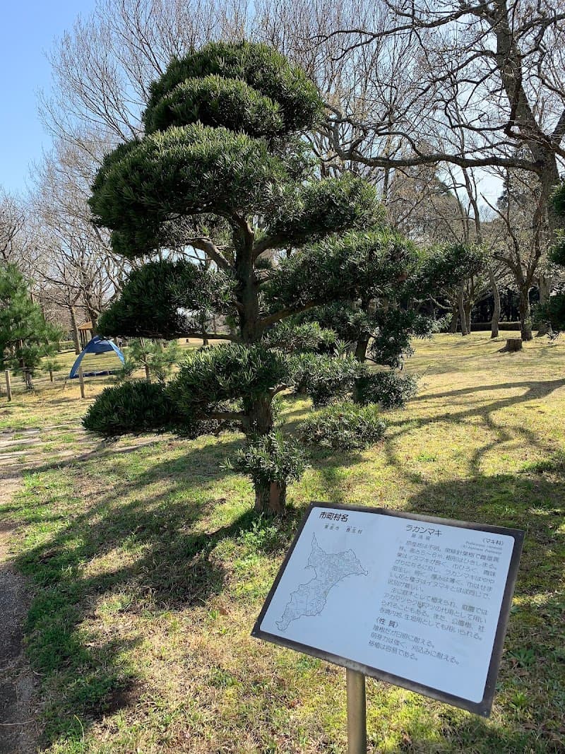 Midori Ward, Chiba City pics photo