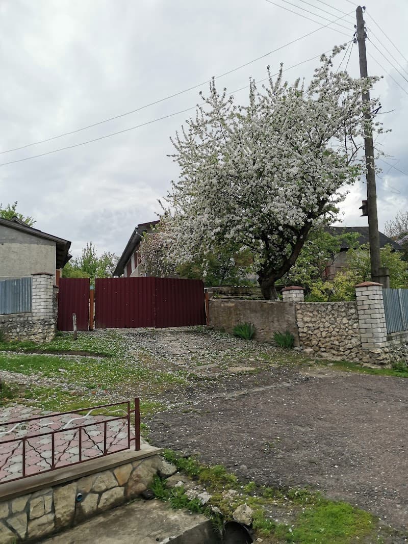 Pidhorodne Ternopilskyi Raion photo