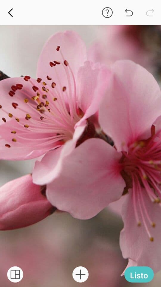 Piel canela spa Ciudad de Buenos Aires photo