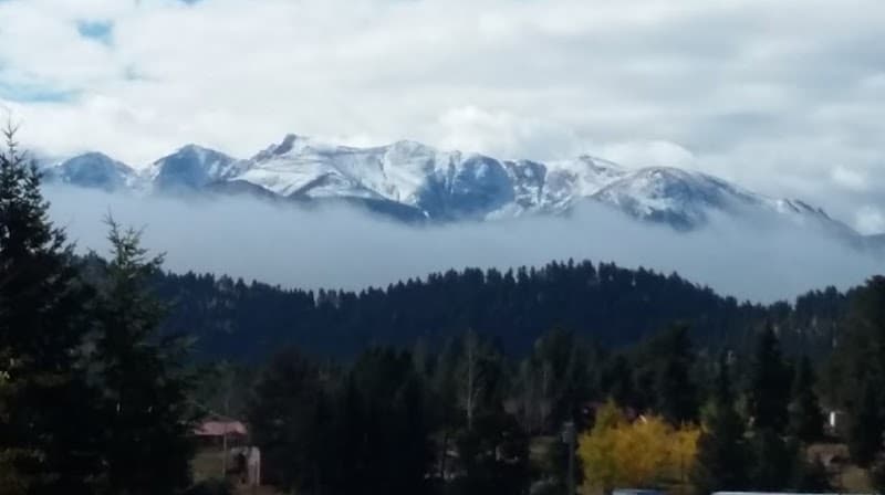 Pine & Petal Salon Co. Woodland Park photo